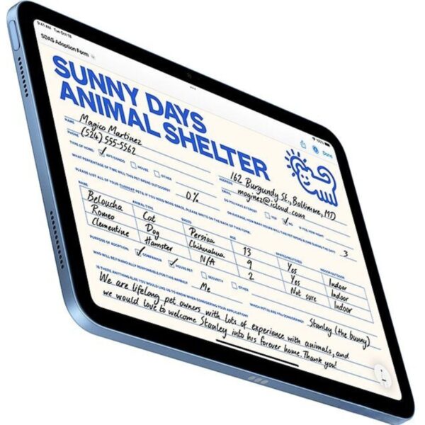 Apple iPad (2025)